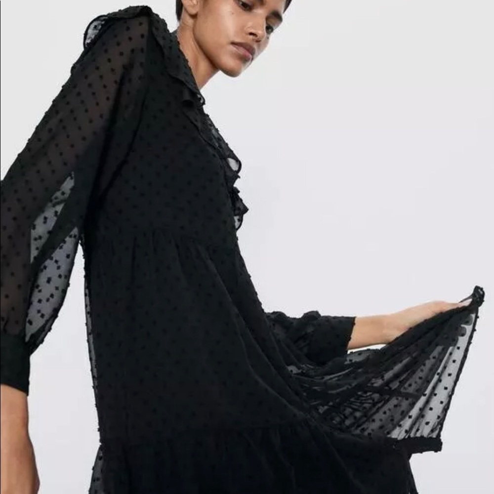 Zara ruffled dotted mesh dress